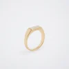 Resin Signet Ring|Parfois Discount